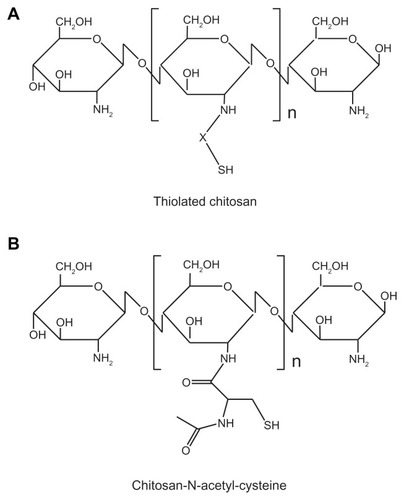 Figure 3 Representative structure of thiolated chitosan: (A) general structure of thiolated chitosan modified by an –SH group (X: linker) and (B) chitosan-N-acetyl-cysteine (modification of chitosan at the D-glucosamine unit by N-acetyl-cysteine).