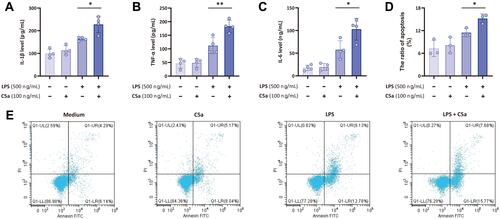 Figure 4 C5a enhances LPS-induced inflammatory cytokine production and cell apoptosis. THP-1 monocytes were stimulated with C5a (100 ng/mL), LPS (500 ng/mL), or C5a plus LPS for 16 h in vitro. (A–C) The supernatant concentrations of inflammatory cytokines (IL-1β, TNF-α and IL-6) were measured by ELISA; (D and E) the apoptosis of THP-1 monocytes stimulated with C5a, LPS, or C5a plus LPS was also measured by using annexin-V-FITC/PI staining on a flow cytometer. Values of relative expression levels are shown as mean ± SD; *P<0.05, **P<0.01.