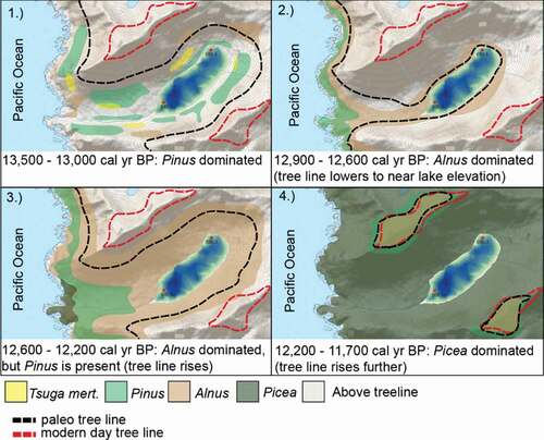 Figure 6. An interpretation of vegetation changes based on data from Figure 5 at distinct time intervals leading up to and during the YD chronozone