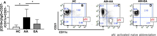 Figure 4. Activated Naïve (aN, CD19+/IgD+CD27-/CD11c+CD21-) cells are significantly higher in AA patients with AIH compared to EA: whole blood was collected from Healthy controls (HC), African Americans (AA) European ancestry (EA) patients diagnosed with autoimmune hepatitis (AIH). PBMC were isolated and stained with live dead cells and stained with antibodies to CD3, CD19, IgD, CD11c, CD21 and subjected to Flowcytometry. Bar graphs represent activated naïve (CD19+/IgD+CD27-/CD11c+CD21-) cells, B, C and D are representative flowjo charts from HC, AA, EA respectively. Bar plots represent mean and ± SD.