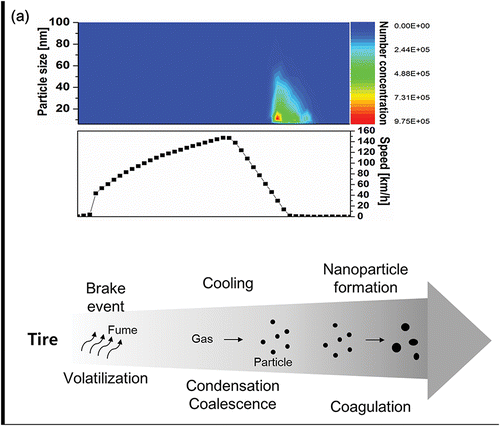 Figure 1. (a) On-road nanoparticle formation from tire under braking conditions and (b) a schematic of the formation procedure of nanoparticles from tire.