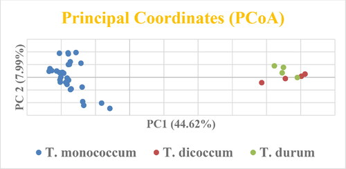 Figure 6. Principal Coorddinates Analysis of three different wheat species (T. monococcum, T. dicoccum, T. durum).