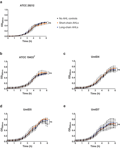 Figure 3. Planktonic growth curves of E. faecalis cultures exposed to AHLs. Graphs represent the growth of each E. faecalis strain monitored in time by optical density readings at 600 nm (y-axis). Black dots show controls unexposed to AHLs, whereas orange and blue dots show suspensions exposed to short- and long-chain, respectively. OD readings were acquired every 10 min. Each time-point measurement represents the mean of three independent experiments performed in triplicate (n = 9), and whiskers show SD. For each strain, the curves’ best-fit values were employed to compare the growth kinetics of suspensions exposed to either short- or long-chain AHLs with the no AHL controls (one-way ANOVAs, Dunnett’s multiple comparison tests, α = 0.05). ns: not significant.