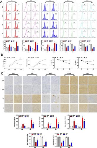 Figure 3 Comparison of the intracerebral inflammatory response and neurodegeneration of mice in different groups. The flow cytometry showed that CD4, CD28, and MHCII in peripheral blood lymphocyte gate of DD group were significantly increased, while CTLA-4 and PD-1 were significantly decreased (A). Th1-mediated TNF-α and IL-1β levels in the DD group continued to increase, however, Th2-mediated IL-10 and IL-4 levels decreased continually in serum of the mice (B). Immunohistochemical staining showed that the expressions of CD4, CD28, and MHCII in the SNpc tissues of brain increased gradually with time, while the expression of CTLA-4 and PD-1 decreased over time in DBA/1 mice compared to C57BL/6 mice (C). *Indicated P<0.05 compared with DBA group; #Indicated P<0.05 compared with C57 group5. n=10.