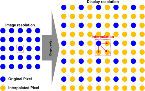 Figure 1. An example of up-scaling using interpolation, wherein the resolution of an input image is increased by a factor of two.