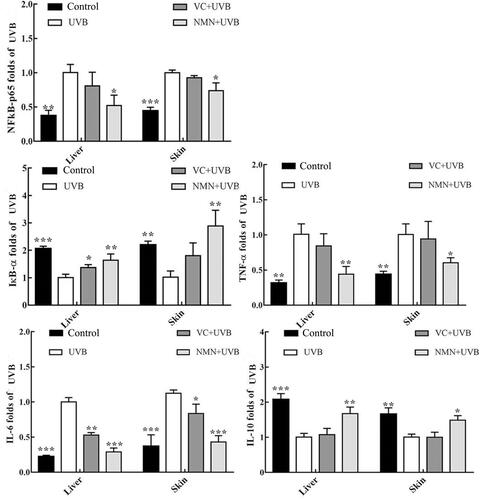 Figure 4 Gene expression of NF-κBp65, IκB-α, TNF-α, IL-6 and IL-10 in skin and liver tissues. *p < 0.05 compared to the UVB group; **p < 0.01 compared to UVB group; ***p < 0.001 compared to the UVB group.