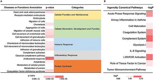 Figure 8 IPA analysis of DEPs between simple OME and group and radiotherapy-reduced OME group. (A) The diseases or functions annotation; (B) The major canonical pathways. The color of the bar in p-value and -logP column indicates the level of significance.