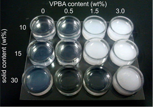 Figure 2. Photograph of hydrogels copolymerized with different mixing ratios of the solid content and VPBA contents. The solid content of the monomers was changed from 10 to 30 wt%, as shown in the vertical direction, and the VPBA content was changed from 0 to 3 wt%, as shown in the horizontal direction.