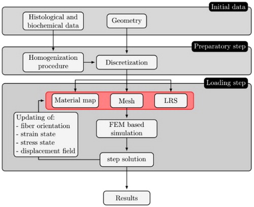 Figure 2. Flowchart of the solution algorithm based on a finite element implementation. LRS: local reference system; FEM: finite element method.