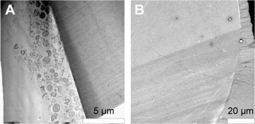 Figure 6 Transmission electron microscopic images of unloaded and totarol-loaded microspheres after incubation in bacteria suspension to investigate the biofilm formation.