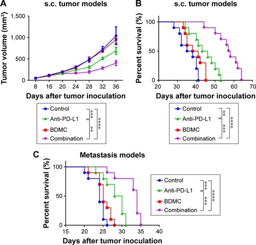 Figure 1 Combined treatment of BDMC and α-PD-L1 antibody inhibited tumor progression and significantly increased survival of mice bearing s.c. and metastatic bladder cancer.