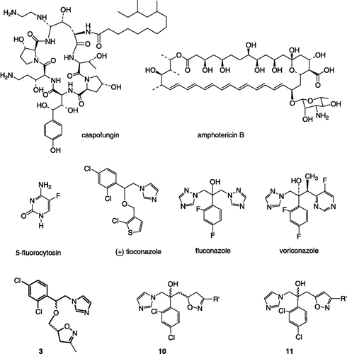 Figure 1 Antifungals used in therapy, and the general structure of the newly synthesized compounds 3, 10 and 11.