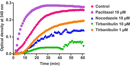 Figure 1 Tubulin polymerization inhibition by tirbanibulin and other known tubulin inhibitors (ATNXUS-KX01-001 study): effects of tirbanibulin on in-vitro tubulin polymerization. Tubulin polymerization was started by incubation at 37°C in the absence or presence of test compounds. The effect of tirbanibulin (10 μM and 1 μM), paclitaxel (10 μM), and nocodazole (10 μM) on tubulin polymerization was measured and plotted as changes in absorbance at 340 nm.