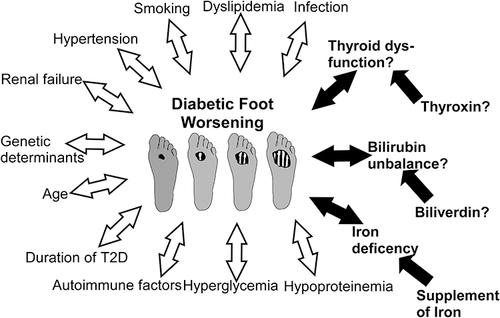 Figure 6 Multiple local and systemic factors affect the progression of DFU. The blank arrows represent permanent acknowledged causes, while the black arrows indicate systemic factors that could be rectified in whole or in part. It was uncertain whether abnormal thyroid function and bilirubin imbalance should be treated.
