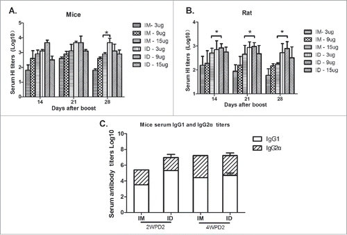 Figure 2. Six-to-eight-week-old BALB/c mice (n = 6) and SD rats (n = 6) were twice immunized ID or IM with 3, 9, or 15 µg of HA of the split H7N9 influenza vaccine at 2-week intervals, and serum samples were collected at 2, 3, and 4 weeks post-boosting for HI antibody measurements (A, B). Mice and rats were immunized with the H7N9 influenza vaccine at 0 and 14 days, and serum HI antibody titers and IgG subtypes were assayed at 2 and 4 weeks post-boosting (C).