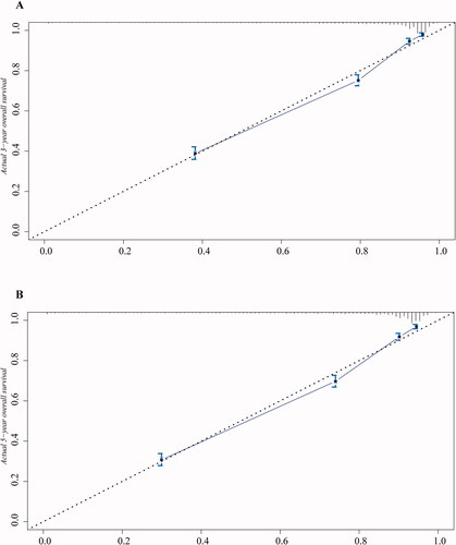 Figure 3. The calibration curves for predicting three-year and five-year OS of cervical cancer patients between the nomogram and the actual observation. (A) Three-year OS and (B) five-year OS.