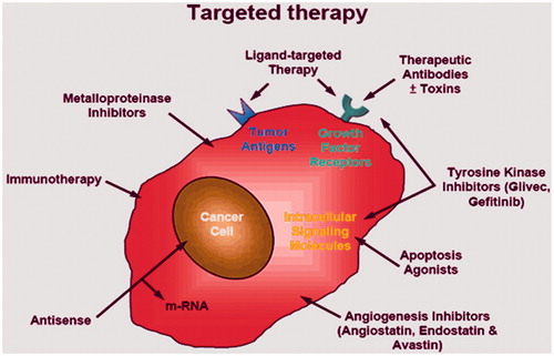 Figure 2. Overview of targeted drug delivery.