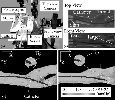 Figure 8 (a) Bi-planar vision system for real-time catheter trajectory analysis adapted for a carotid artery vasculature model. (b) Example of the captured images with the bi-planar vision system, showing the catheter inserted from the start point to the target branch. (c) Example of the result image of the catheter trajectory analysis done at 3 fps, which includes: photoelastic stress analysis, deformation measurement, and catheter tip tracking.