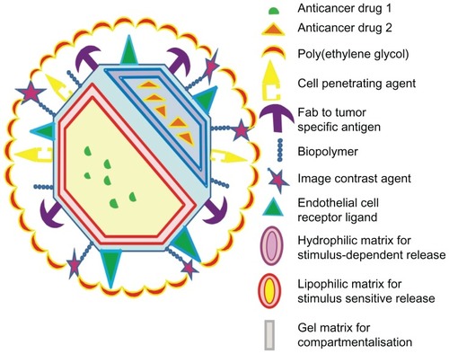 Figure 5 A model for multifunctional nanoparticle with desired characteristics possessing multiple drugs, dual tumor-targeting ligands, cell-penetrating peptide, and imaging agents.