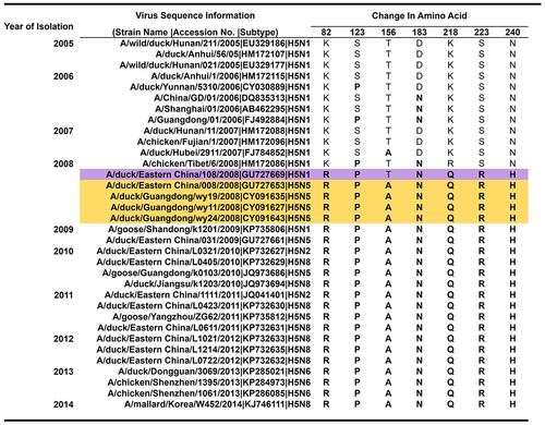 Figure 2. Sequence alignment of sequentially accrued substitutions in the H5 gene from 2005 to 2014. Haemagglutinin (HA) sequences of clade 2.3.4 and 2.3.4.4 viruses from 2005–2014 were downloaded from the influenza research database (IRD) and aligned chronologically using CLC genomics workbench 10.0.1. The seven identified conserved residues (82, 123, 156, 183, 218, 223, and 240) between 2.3.4 and 2.3.4.4 are highlighted in pink. The first protypes of 2.3.4.4 viruses isolated with the seven amino acid (AA) substitutions in their H5 genes are highlighted in yellow. Dots: unchanged residues. The reference WT viruses utilized in the study for 2.3.4 H5 (*) (A/duck/anhui/1/2006) and 2.3.4.4 H5 (**) (A/mallard/korea/w452/2014) are marked with asterisks.