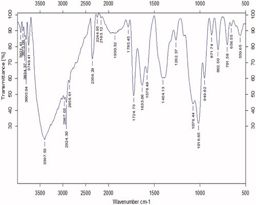 Figure 2. The FTIR spectrum of GO-PEG.