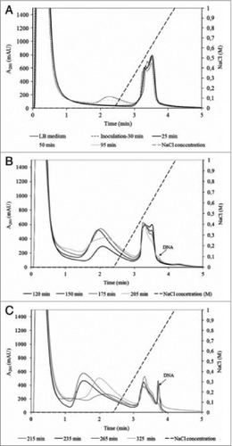 Figure 4. Analysis of crude T4 lysate collected during fermentation: (A) between 0 and 95 min; (B) between 120 and 205 min; (C) between 215 and 325 min. Conditions: Stationary phase: 0.34 mL CIM DEAE disk monolithic column; Mobile phase: Buffer A: 20 mM Tris, pH 7.5. Buffer B: 20 mM Tris, 1.0 M NaCl, pH 7.5; Gradient: linear gradient from 0 to 100% buffer B in 1.5 min; Flow rate: 4 mL/min; Injection volume: 1 mL; Detection: UV at 280 nm; reused from Smrekar et. al.Citation44.