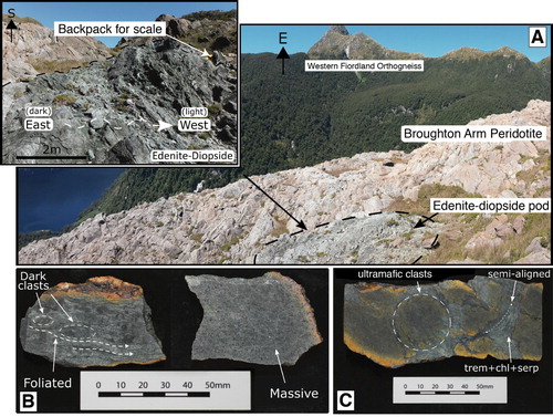 Figure 4. A, The Broughton Arm Peridotite is a distinctly orange-red body enclosing zoned patches of edenite-clinopyroxenite. The mountains in the background are Western Fiordland Orthogneiss and Broughton Arm fjord is present in the left hand side. See Figure 2B for location of photograph. Hand specimens of the peridotite illustrate the variation in textural types from foliated and massive peridotite (B) to mylonitic peridotite (C).