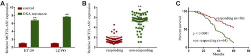 Figure 1 The expression of MCF2L-AS1 was enhanced in CRC/OXA cells and samples of serum. MCF2L-AS1 levels were assessed in CRC/OXA cells (A) and serum (B) via qPCR. (C) CRC patient overall survival was assessed via the Kaplan-Meier approach. **p < 0.01.