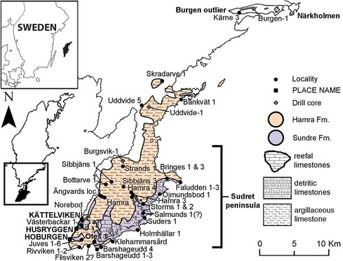 Figure 1. Map of Sudret peninsula in the south of Gotland with the Hamra Formation (peach) and Sundre Formation (purple), as well as the geographical areas (capital letters), localities, and positions of drill-cores discussed in the text. The geographical extent of the formations and their lithologies are based on Eriksson and Calner (Citation2005) and data from the Geological Survey of Sweden (SGU).