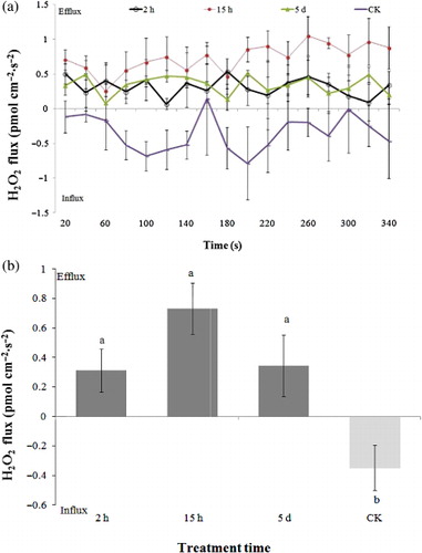 Figure 2. H2O2 flux changes in aphid-infested tobacco for 0 h (CK), 2 h, 15 h, and 5 d. (a) H2O2 flux responses of tobacco mesophyll cells with time. Bars represent the standard deviation; (b) Average H2O2 fluxes within the measuring period. Columns labeled with different letters (a and b) denote significant difference at P < 0.05 by Duncan’s test.