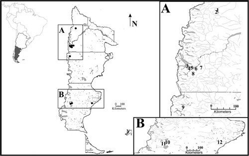 Figure 1 Map of the study area (Patagonia, Argentina) showing the sampled lakes and ponds. 1. Verde I Pond. 2. Jabón Pond. 3. Lake Morenito. 4. Fantasma Pond. 5. Teleférico Pond. 6. Refugio de Jesús Pond. 7. Los Juncos Pond. 8. Verde II Pond. 9. Lake Rivadavia. 10. Ocho Pond. 11. Olivia Pond. 12. Pto. San Julián Pond.