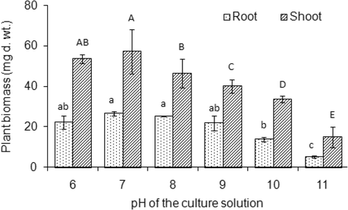 Figure 2. Biomass of rice (Oryza sativa L.) seedlings at pH between 6 and 11 after growing in Murashige and Skoog (MS) nutrient solution for a total of 3 weeks. Values are mean ± SD (n = 3). Different letters indicate significant differences (p < 0.05) between treatments for roots (lower case) or shoots (upper case).