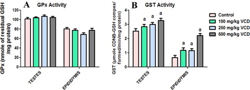 Figure 2. Glutathione peroxidase (GPx) and glutathione S-transferase (GST) activities in testes and epididymis following 28 consecutive days of VCD treatment in rats. Each bar represents mean ± SD of 10 rats. aP < 0.05 versus Control.