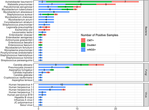 Figure 6 The overlap of positivity in pathogen between mNGS and culture. A total of 40 different pathogens were detected in the infectious disease group with their corresponding frequencies plotted in histograms. The proportion of mNGS positive samples was significantly higher than that of CMT positive samples in terms of MTB, NTM, virus, and fungus (P < 0.05).