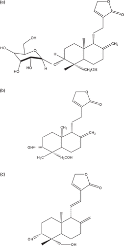 Figure 1.  (a) Structure of AB-1 (3-O-β-d-glucosyl-14-deoxyandrographiside) obtained from MEOH extract of A. paniculata whole plant.(b) Structure of AB-2 (14-deoxyandrographolide) obtained from MEOH extract of A. paniculata whole plant. (c) Structure of AB-3 (14-deoxy-11,12-didehydrondrographolide) obtained from DCM extract of A. paniculata whole plant.