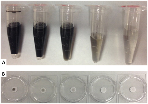 Figure 1. (a) Prepared solutions of carbon black in deionized water with varying particle concentration. The relative concentration of the container on the left (highest particle concertation) is 1 mg/mL with the concentration of each successive container to the right decreasing by one-fourth. (b) Particle-coated filters from the corresponding carbon-black solutions shown in (a).