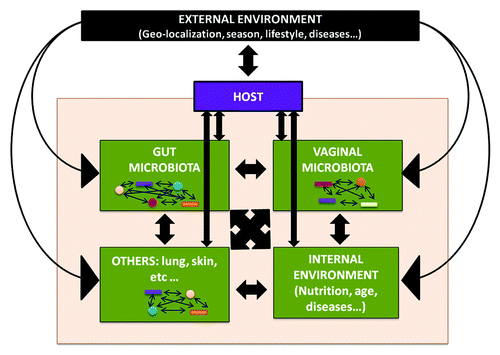 Figure 1. The human microbiome conceptualized as a dynamic ecological community. Inter-relations between all the components of the ecosystem lead to an equilibrium state required to maintain the health status of the host.