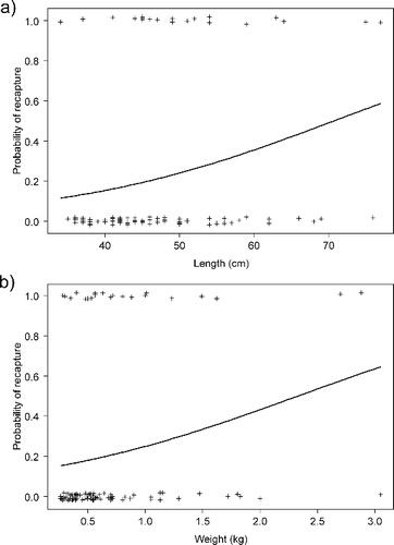 Figure 2. Probability of recapture in relation to pike stocking length and weight estimated with logistic regression (markers are jittered around 0 and 1).