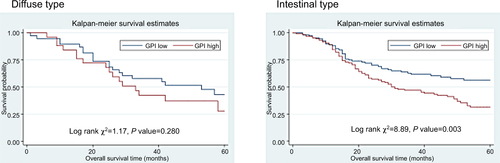 Figure S2 Kaplan–Meier survival curves of overall survival in 56 patients of diffuse type and 231 patients of intestinal type (AMF/GPI negative vs AMF/GPI positive).Abbreviations: AMF, autocrine motility factor; GPI, glucose-6-phosphate isomerase.