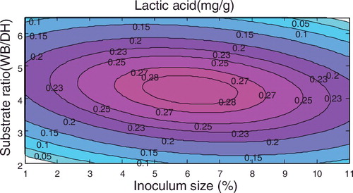 Figure 2. Response surface plot of the lactic acid concentration with respect to inoculum size and substrate ratio using the fermentation time as a centre point.