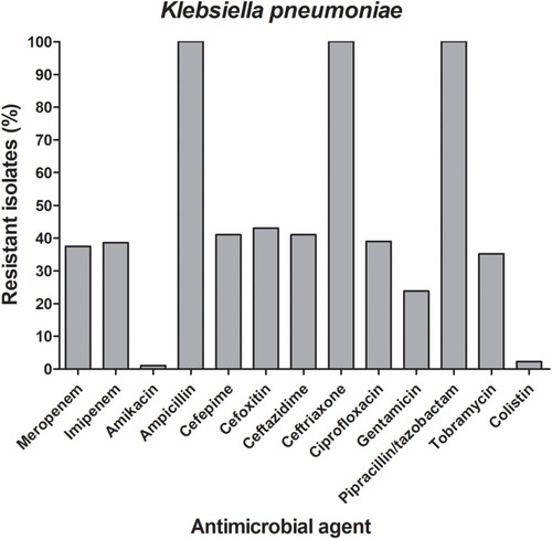 Figure 1 Frequencies of the antimicrobial resistance among the carbapenem-resistant K. pneumoniae isolates. A bar graph presenting the percentages of the resistance to 14 different antibiotics among the 52 carbapenem-resistant K. pneumoniae. The chart was generated using GraphPad Prism v5.
