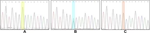 Figure 2 Representation of the validation by DNA sequencing for rs10757278.