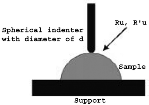 Figure 2 Peach loaded using spherical indenter.