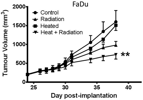Figure 5. Radiation efficacy is improved by heat treatment prior to radiation therapy. Plot of growth of FaDu tumour xenografts in four groups (n = 5). Group 1 unheated control, group 2 heated (day 24), group 3 local radiation at 2 Gy on days 25–29, group 4 heating on day 24 followed by 2 Gy local radiation on days 25–29 starting 24 h post-heating. Tumour growth in only group 4, heating and radiation showed significant tumour response to therapy as compared to the control group (ANOVA **p < 0.01).