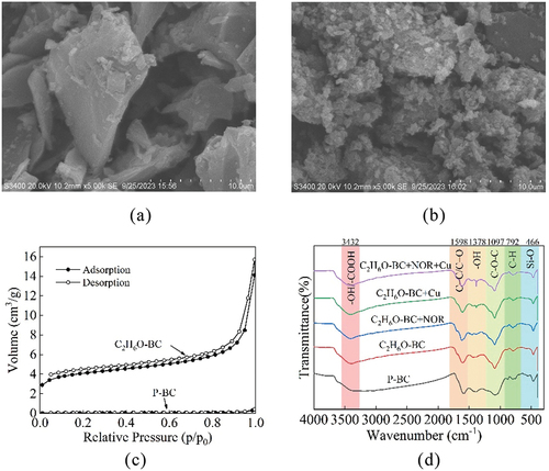 Figure 1. SEM images of p-BC (a) and C2H6O-BC (b), N2 adsorption and desorption isotherms (c) and FT-IR spectra of unloaded and NOR/Cu-loaded biochars (d).