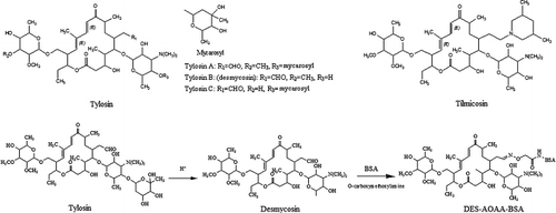 Figure 1. Chemical structures of tylosin, tilmicosin and desmycosin–CMO–BSA.