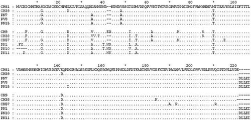 Figure 4. Multiple alignments of amino acid sequences of the coat protein of studied PNRSV isolates and cherry isolates representatives of the mild and rugose pathotypes from PV96-II and PV32-I phylogroups. Dots indicated identical amino acid residues among all isolates.