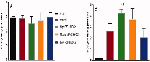 Figure 9. SOD content and MDA content in cardiomyocytes in each group. Data between five groups was compared by ANOVA (n = 3). *p < 0.05 vs Control group, &p < 0.05 vs Low P50 HBOCs.