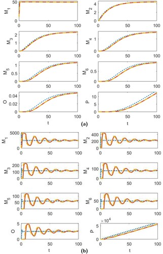 Figure 2. The time series dynamics of the continuous-time model (Equation1(1) dM1(t)dt=δM1(t)1−M1(t)γ−2K1M12(t)−M1(t)∑i=2n−1KiMi(t),−(Oa−n)KnM1(t)Mn(t)−(Pa−Oa)KOM1(t)O(t)−μ1M1(t),dM2(t)dt=K1M12(t)−K2M1(t)M2(t)−μ2M2(t),⋮dMn(t)dt=Kn−1M1(t)Mn−1(t)−KnM1(t)Mn(t)−μnMn(t),dO(t)dt=KnM1(t)Mn(t)−KOM1(t)O(t)−μOO(t),dP(t)dt=KOM1(t)O(t)−μPP(t).(1) ) (dotted blue line), and the discrete-time models (EquationA1(A1) M1(t+1)=(1+δ)M1(t)1+μ1+δγM1(t)+2K1M1(t)+∑i=2n−1KiMi(t)+(Oa−n)KnMn(t)+(Pa−Oa)KOO(t)12−1,M2(t+1)=M2(t)+K1M12(t)1+μ2+K2M1(t),M3(t+1)=M3(t)+K2M1(t)M2(t)1+μ3+K3M1(t),⋮Mn(t+1)=Mn(t)+Kn−1M1(t)Mn−1(t)1+μn+KnM1(t),O(t+1)=O(t)+KnM1(t)Mn(t)1+μO+KOM1(t),P(t+1)=P(t)+KOM1(t)O(t)1+μP.(A1) ) (solid red line) and (EquationA2(A2) M1(t+1)=e(δ−μ1)M1(t)1+ϕ1(1)δγM1(t)+2K1M1(t)+∑i=2n−1KiMi(t)+(Oa−n)KnMn(t)+(Pa−Oa)KOO(t)12−1,M2(t+1)=e−μ2M2(t)+ϕ2(1)K1M12(t)1+ϕ2(1)K2M1(t)),M3(t+1)=e−μ3M3(t)+ϕ3(1)K2M1(t)M2(t)1+ϕ3(1)K3M1(t)),⋮Mn(t+1)=e−μnMn(t)+ϕn(1)Kn−1M1(t)Mn−1(t)1+ϕn(1)KnM1(t)),O(t+1)=e−μOO(t)+ϕO(1)KnM1(t)Mn(t)1+ϕO(1)KOM1(t),P(t+1)=e−μPP(t)+ϕP(1)KOM1(t)O(t).(A2) ) (dashed yellow line) for (a) γ=75 and (b) γ=5000, and all other parameters given by (Equation18(18) δ=50,K1=10−4,KO=0.1,n=6,Oa=10,Pa=100,μ1=10−3,μO=10−4,μP=10−5,ϵ=0.001,(18) ) and (Equation16(16) μi=μ1/i,Ki=Ki−1+ϵ,1≤i≤n,for some constant ϵ>0.(16) ).