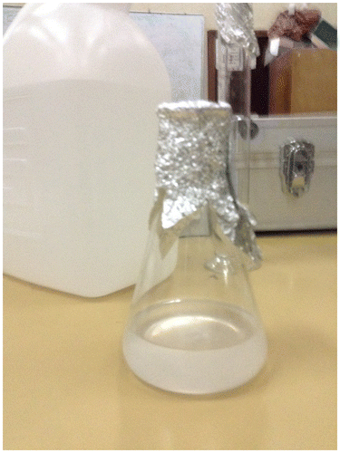 Figure 3. Image of the mixture of KOH and methanol.